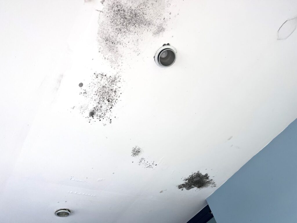 Black mold on the ceiling from poor roof installation or improper roof slope.